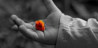 Counselling-versus-psychotherapy-whats-the-difference