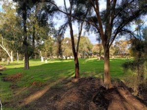 Equine-Assisted-Therapy-Thinkshift