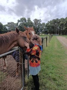 Equine-Assisted-Therapy-Thinkshift