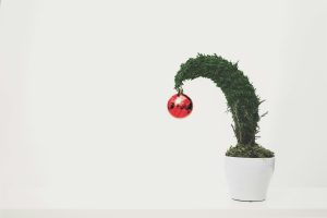 christmas-bauble-on-plant