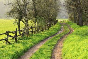 how-do-i-know-if-therapy-is-working-1 | Thinkshift Therapy - Face to Face or Online Delivery how-do-i-know-if-therapy-is-working-1