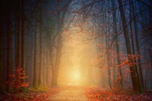 Transpersonal-Counselling-2