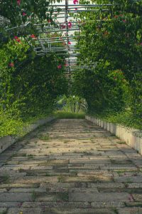 Life-Transitions-4
